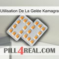 Utilisation De La Gelée Kamagra cialis4